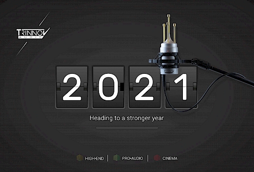 2020 Review: Trinnov successes and lessons learned Preview Image